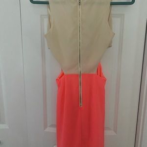 Tobi Pink & Beige Block Dress